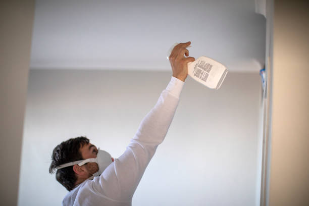 Best Fast Mold Removal  in Ennis, TX