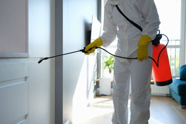 Mold Removal Process in Ennis, TX