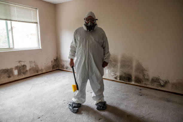 Mold Removal Process in Ennis, TX